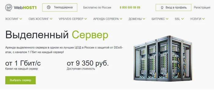 The best shared hostings (Shared): free and paid - Hosting, Server, Free Hosting, Information Security, Longpost, Company Blogs