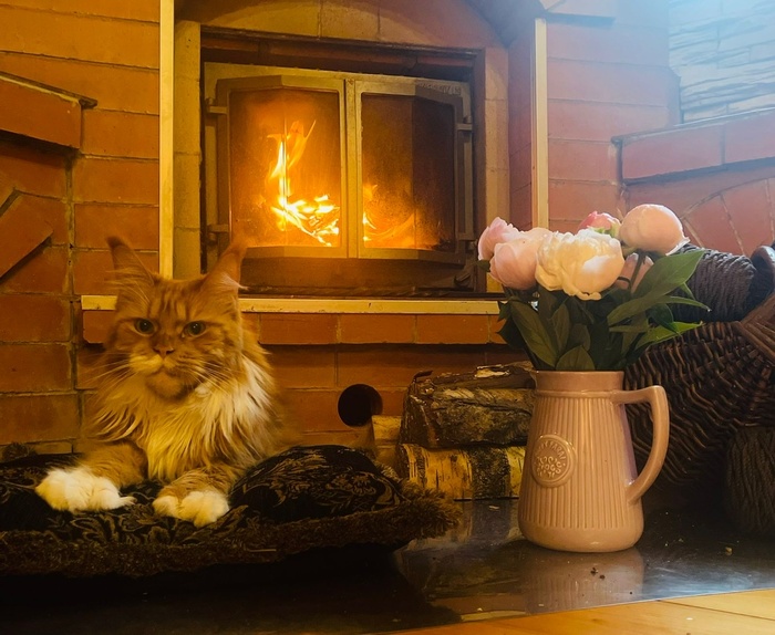 ������� � ����� ���� ������ ����.