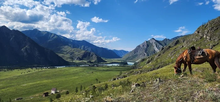 Beautiful Altai - My, Altai Republic, Mobile photography, Altai Mountains, Katun, Beautiful view