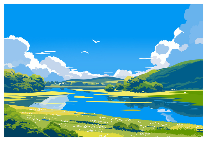   , Adobe Illustrator, , , , 
