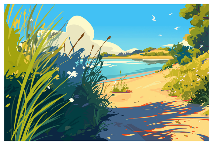   , Adobe Illustrator, , , , 