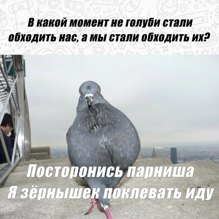     ,   , 