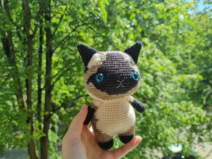 Knitted Siamese Cat - My, Knitting, Crochet, Needlework, Handmade, Needlework without process, With your own hands, Creation, Presents, cat, Toys, Knitted toys, Author's toy, Soft toy, Order, Longpost, Amigurumi