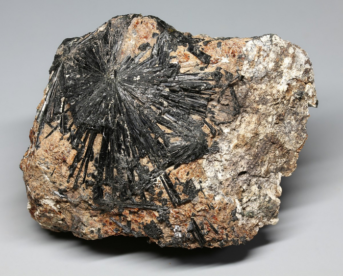 ������ ��������