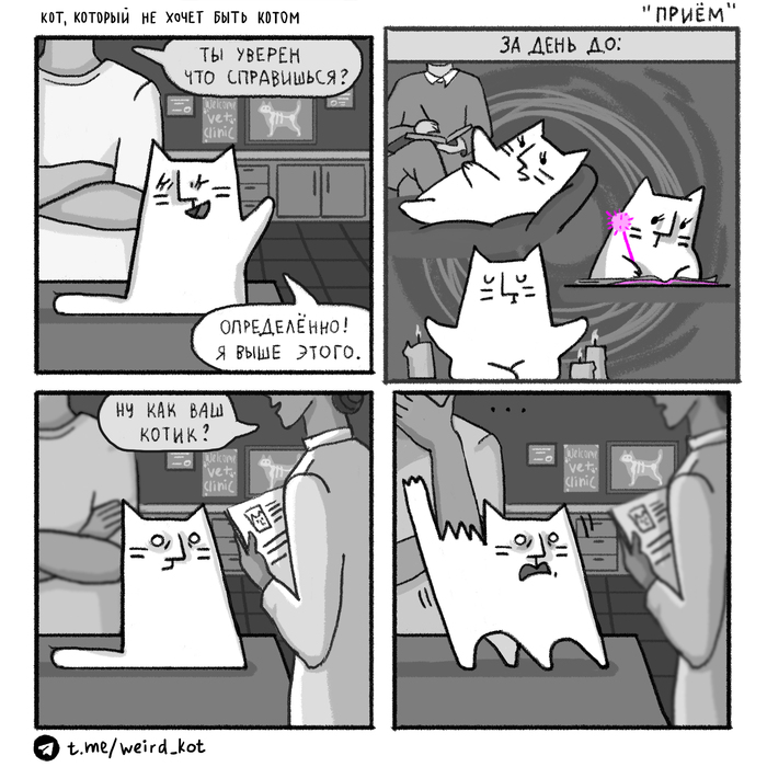 Комикс про Кота №91 "Приём"