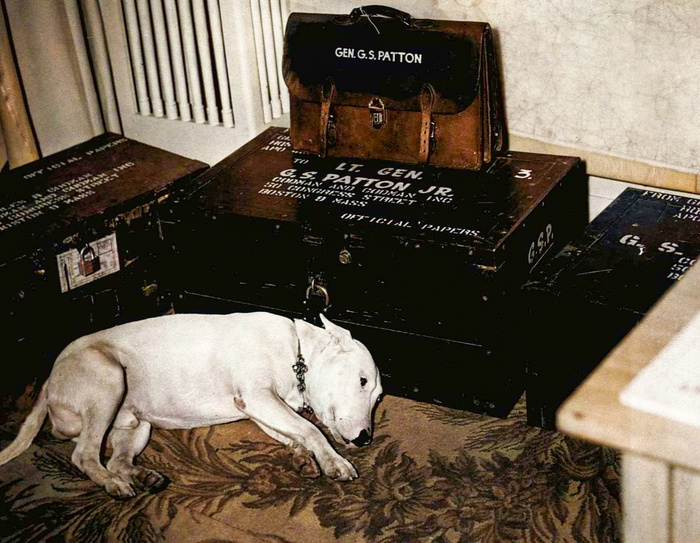 Подборка интересных и необычных фотографий из США. 20 раскрашенных фотографий ХХ века. Часть IV Историческое фото, Старое фото, Фотография, Колоризация, США, 20 век, Длиннопост