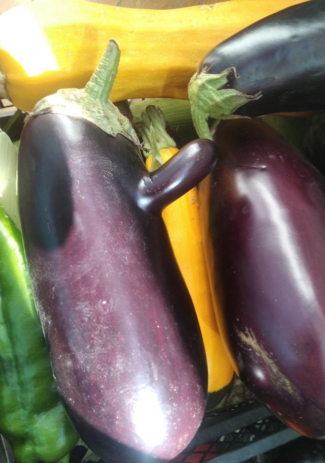 This is the nose - Eggplant, Humor, Pareidolia, The photo