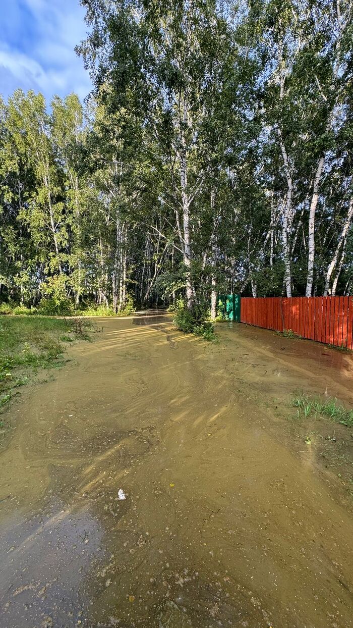 ������ ��� ������? � ��� ����