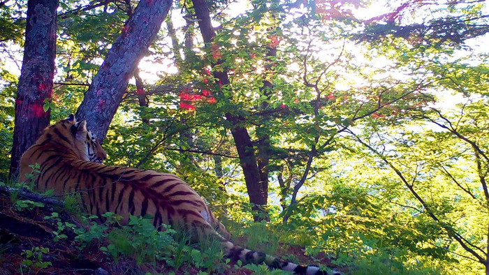 Хорошо, когда ты хозяйка всей красоты вокруг