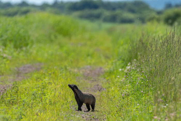 Фото: : Тучин Константин Юрьевич <a href="https://pikabu.ru/story/zapakh_leta_11710363?u=https%3A%2F%2Frtraveler.ru%2Fphoto%2F1456613%2F%3Feditorial_photos%3D1&t=%D0%BE%D1%82%D1%81%D1%8E%D0%B4%D0%B0&h=91aebb763c2d41e82cdcf82f41cb6e3b30a8409f" title="https://rtraveler.ru/photo/1456613/?editorial_photos=1" target="_blank" rel="nofollow noopener">отсюда</a>