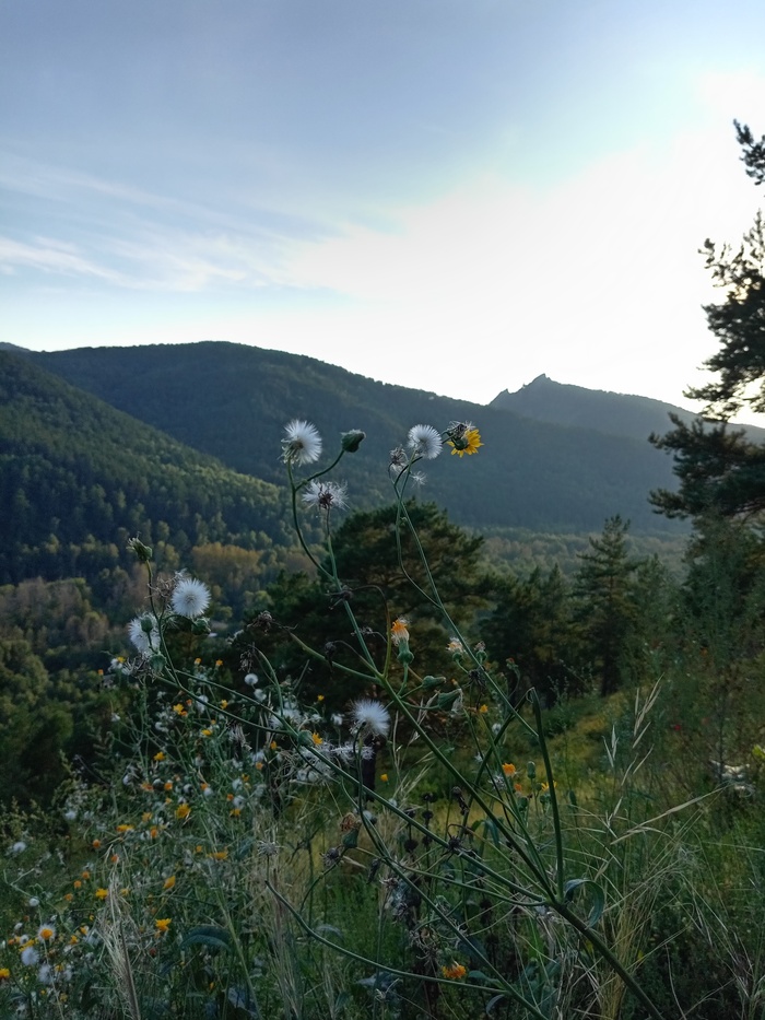 Вид с лестницы завораживает