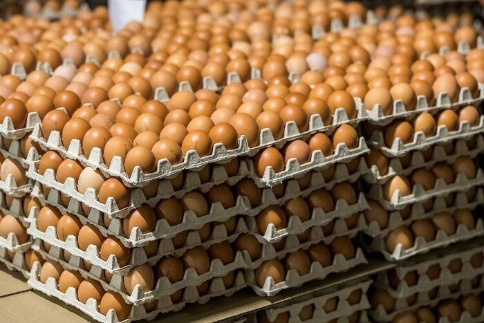 Про "сокровища"