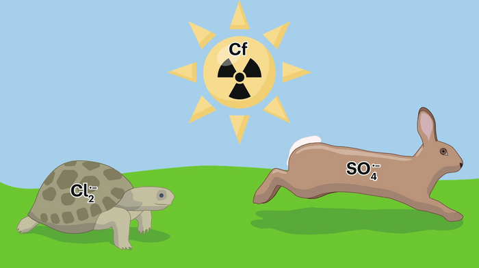 <!--noindex--><a href="https://pikabu.ru/story/uchyonyie_ne_mogut_byit_dizaynerami_yeto_myi_eshchyo_posmotrim_11713434?u=https%3A%2F%2Fwww.nature.com%2Farticles%2Fs41570-024-00607-0&t=https%3A%2F%2Fwww.nature.com%2Farticles%2Fs41570-024-00607-0&h=87a197ff182d6d19acddd894151a3ce8f6b34a0e" title="https://www.nature.com/articles/s41570-024-00607-0" target="_blank" rel="nofollow noopener">https://www.nature.com/articles/s41570-024-00607-0</a><!--/noindex-->