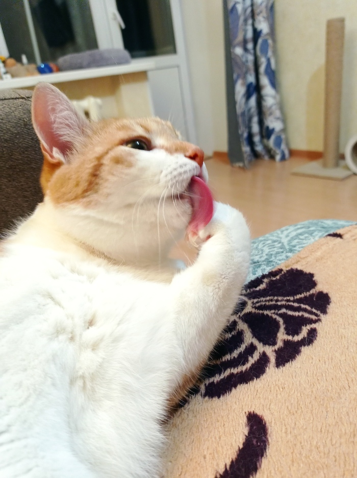  , ,  ,  