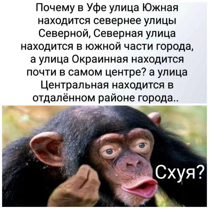 Ответ на пост «Да почему так то?» - Мат, Почему?, Обезьяна, Картинка с текстом, Уфа, Ответ на пост