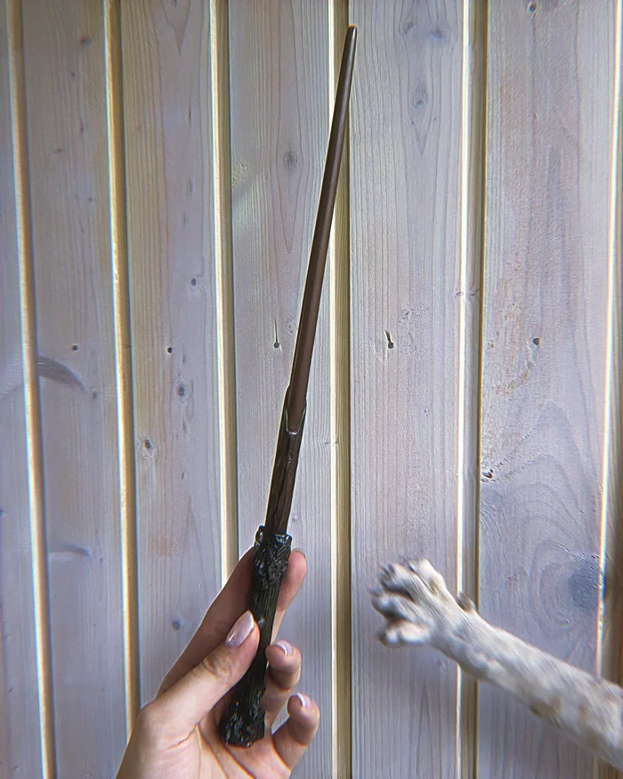 -Mother, let me do some magic! - My, Harry Potter, cat, Magic wand, The photo