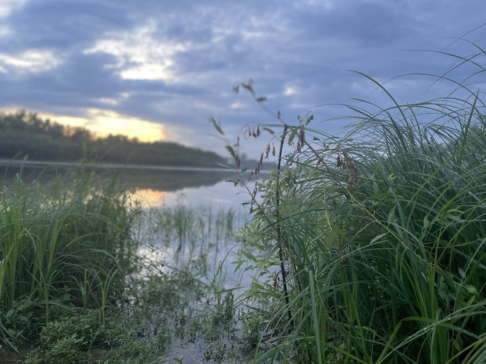 Просто… с друзьями после работы поехали на речку