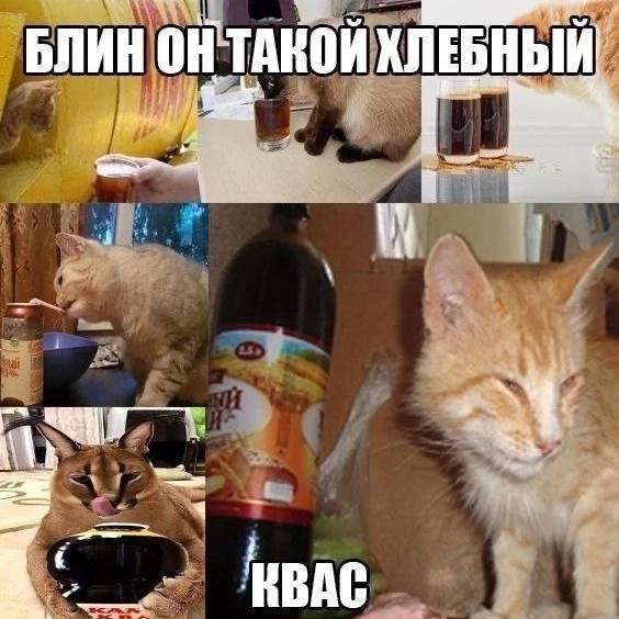 Кваска бы...