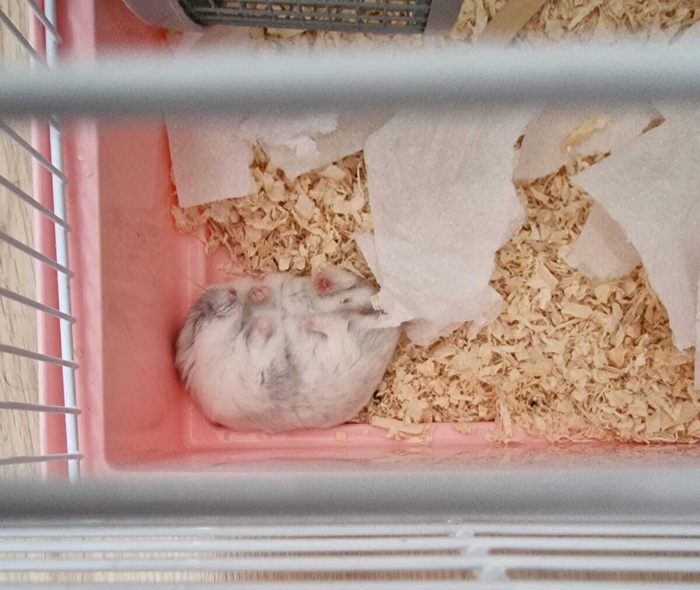 Поела и спатоньки.