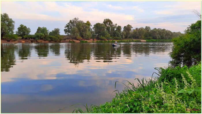 Evening on the river - My, The photo, Nature, Summer, Landscape, River, Evening