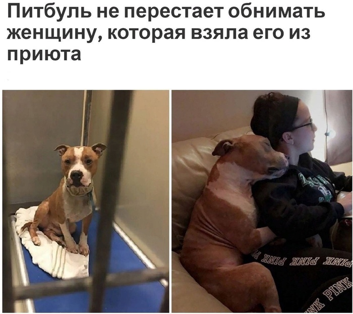 Ценит и любит