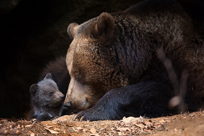 Чужие дети так быстро растут!