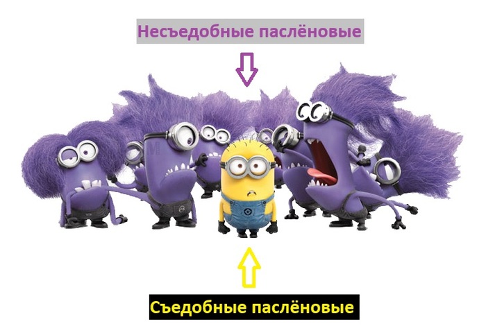 ����� �� ���� ����������