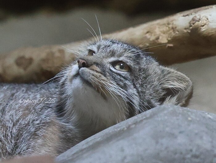 Бодроутра....Славабогупятница...