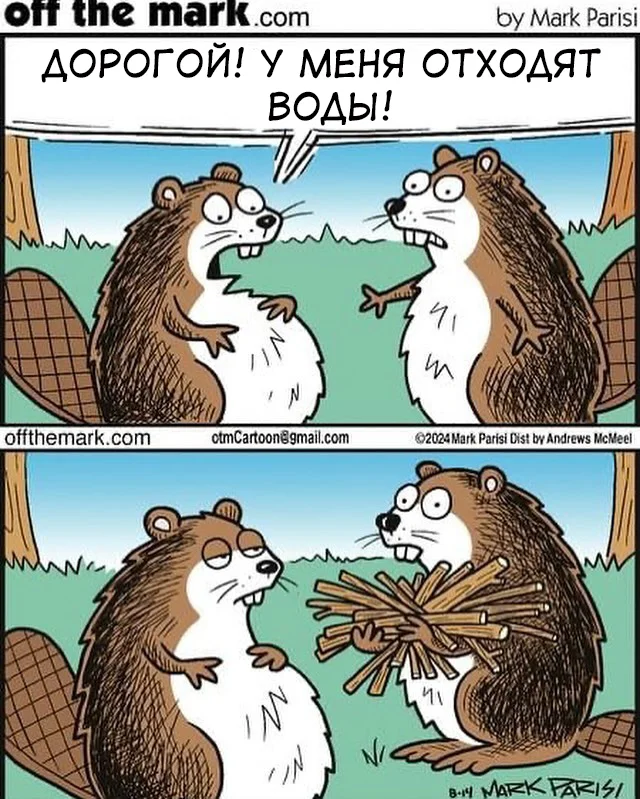 It's not his fault - he does what he knows - Comics, Offthemark, Beavers