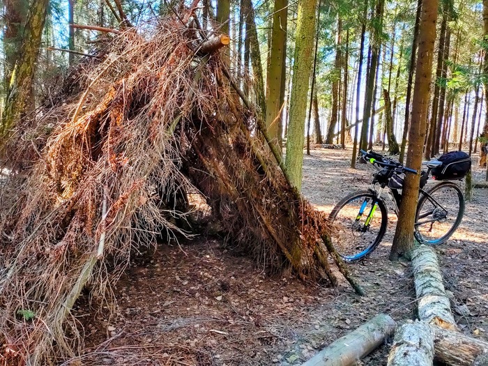 ������� � ����