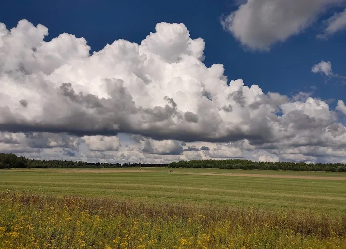 Поле - Моё, Поле, Пейзаж, Облака, Небо, Мобильная фотография, Природа