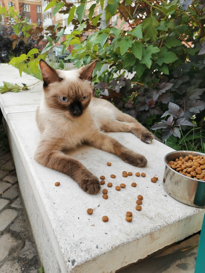 ��� �������? ����� ���!