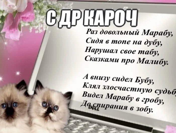 С днем рожденья, Пикабу - Моё, День рождения Пикабу, Стихи, Кот, Вдохновение, Рифма