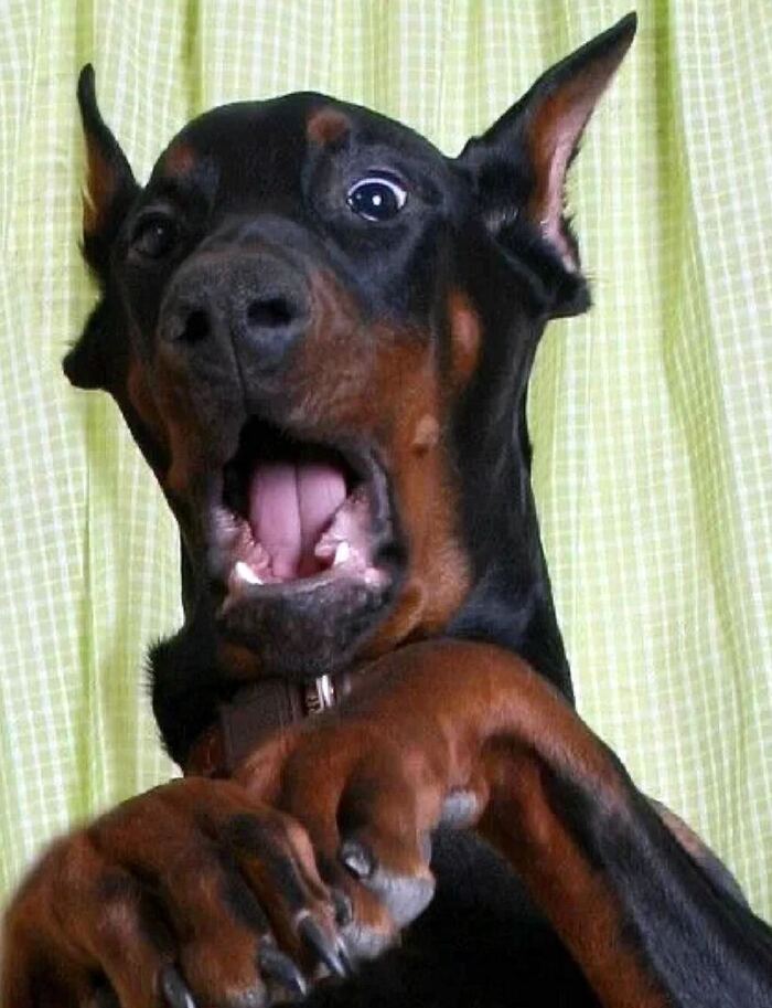 � ����������� �������� �������� ������ �� ������ �������� �������� � ������� ��!