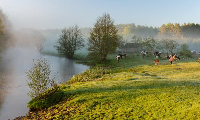 Просто для настроения...