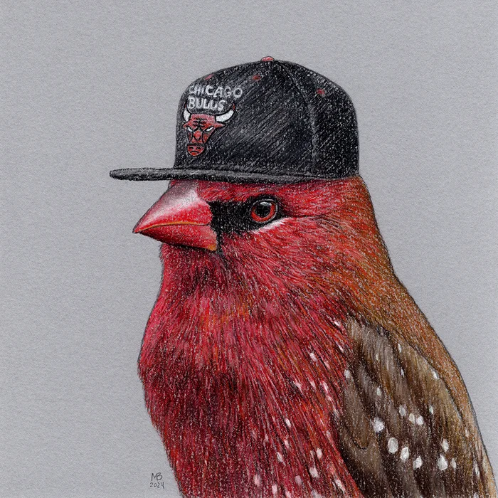 Tiger Astrild - My, Art, Drawing, Birds, Animalistics, Traditional art, Pastel, Birds in hats, Cap