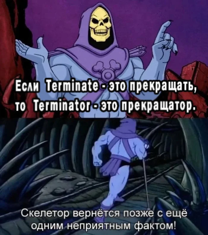 Terminator - Terminator - Memes, Skeletor, Terminator