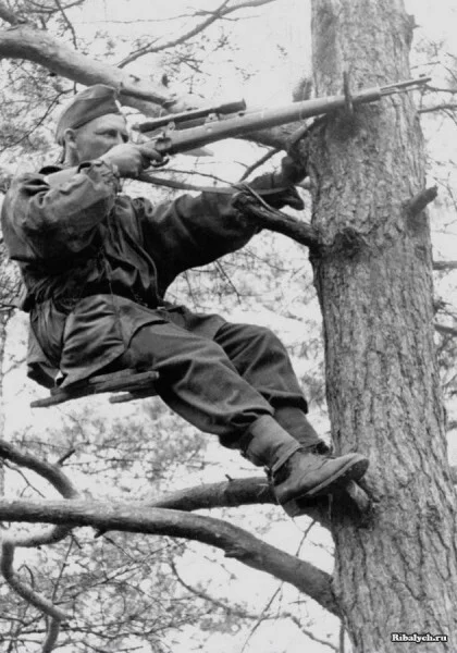 Поединок - Великая Отечественная война, Снайперы, Охота, Поединок, Длиннопост