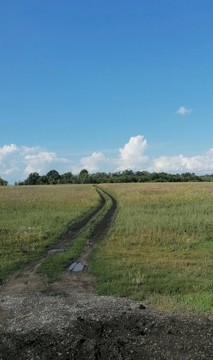 Road in the field - My, Mobile photography, Field, Road, Landscape