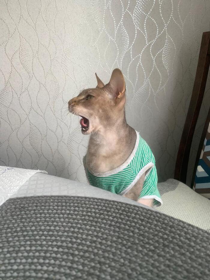 �� �������...