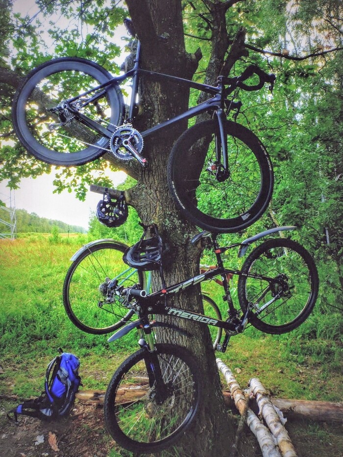 ����������