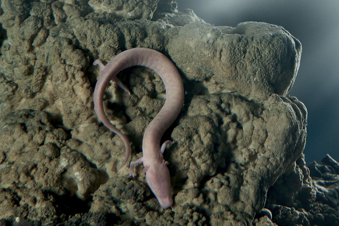 Так, ты, с камерой, живо полезай мне в пасть! Мне тебя на всю жизнь хватит!