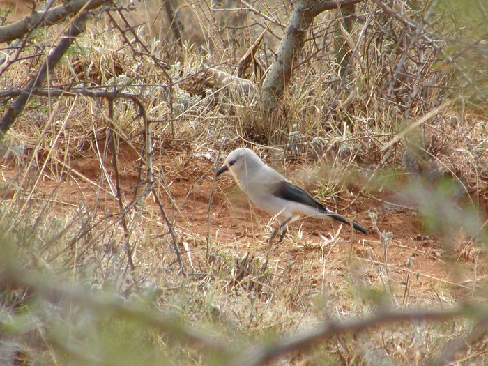 Дальше не пойду. Слишком жарко там...
