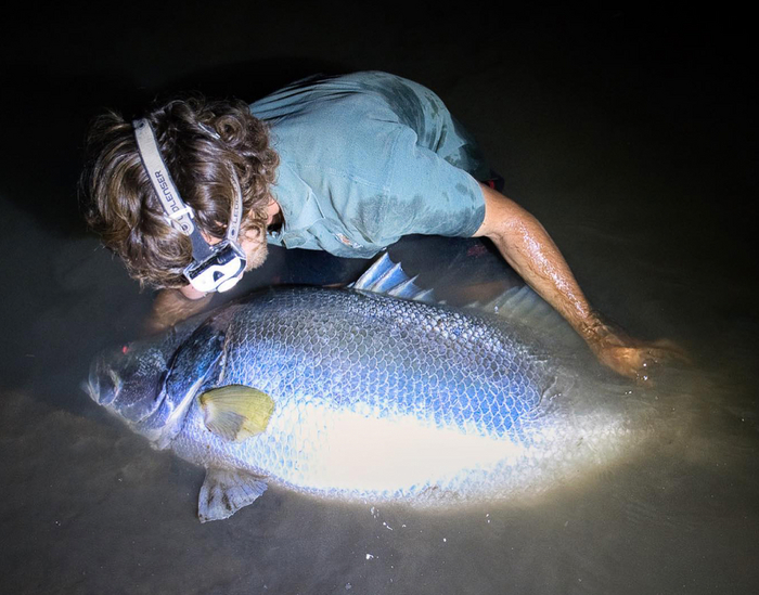 Признавайтесь, мистер рыб, сколько уникальных видов вы убили сегодня?!