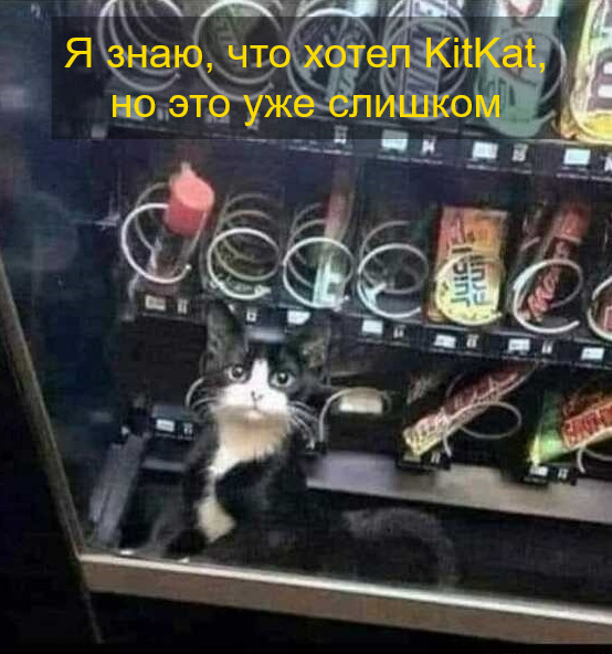 KitKat ))) - Chocolate, Kitkat, Nestle, cat, Picture with text