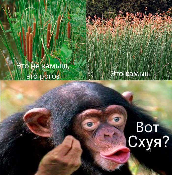  , , ?, ,  , , ,   , 