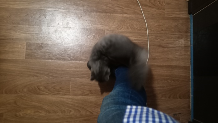    ,  , , , , , , , 