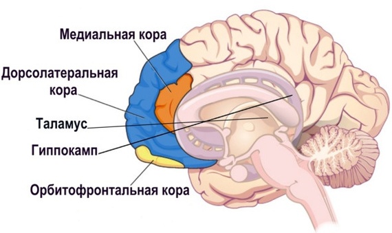 ��� ���� � ��� ���