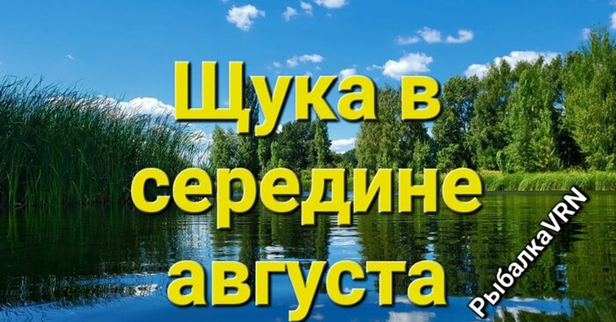 Рыбалка на спиннинг - Моё, Рыбалка, Спиннинг, Лига Спиннингистов, Щука, Текст, Видео, YouTube