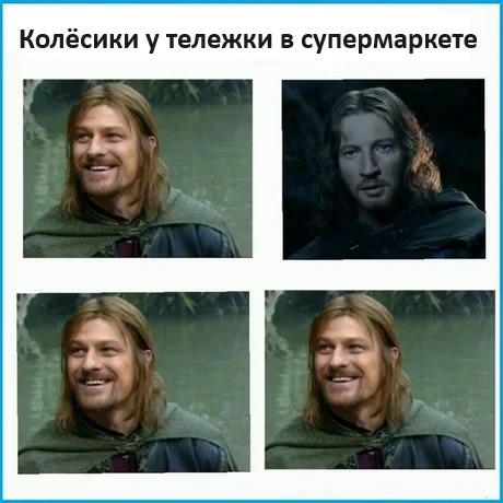 Boromir would have gone straight - Humor, Picture with text, Boromir, Faramir